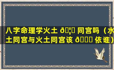 八字命理学火土 🦉 同宫吗（水土同宫与火土同宫该 🐕 依谁）